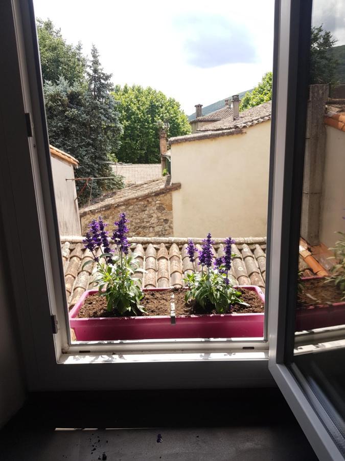 Duplex Avec Spa Et Terrasse En Plein Centre Du Village Saint-Jean-du-Gard Eksteriør bilde